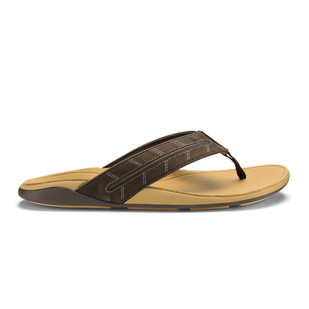 Tuahine Palm  -  Dk Java / Golden Sand