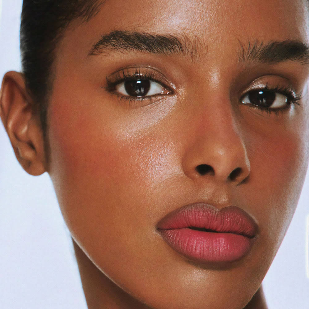Plumping Powder Matte Lip