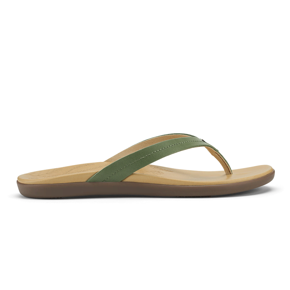 Honu  -  Green Olive / Golden Sand